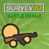 Survev